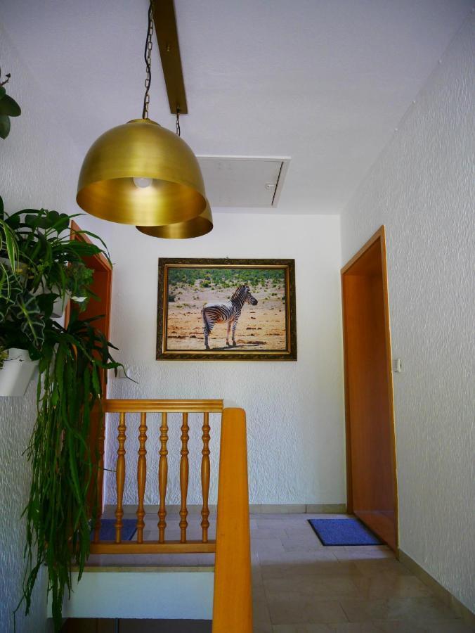 Ferienwohnung Eichkatzel Zell Exteriér fotografie