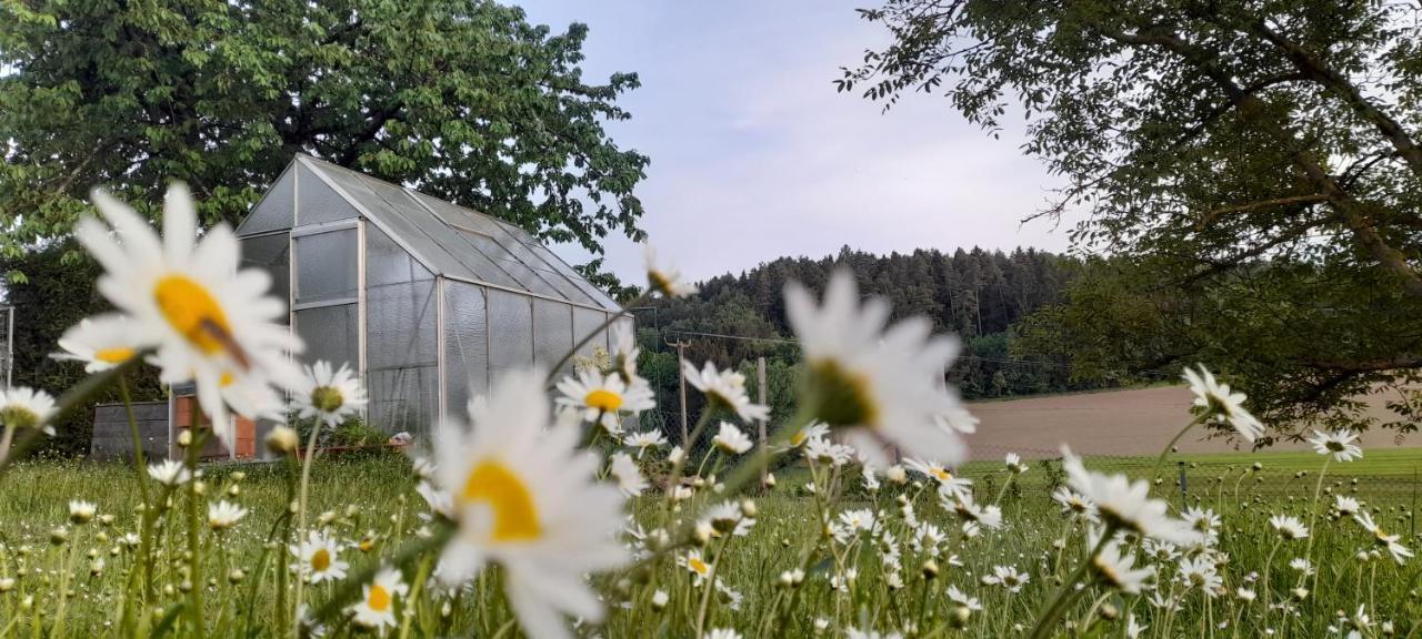 Ferienwohnung Eichkatzel Zell Exteriér fotografie